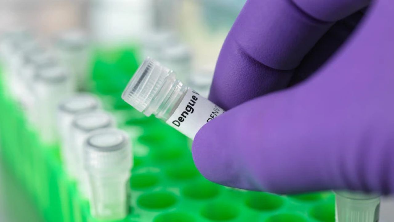 বিশ্বের প্রথম এক ডোজের ডেঙ্গু টিকায় অনুমোদন দিল ব্রাজিল