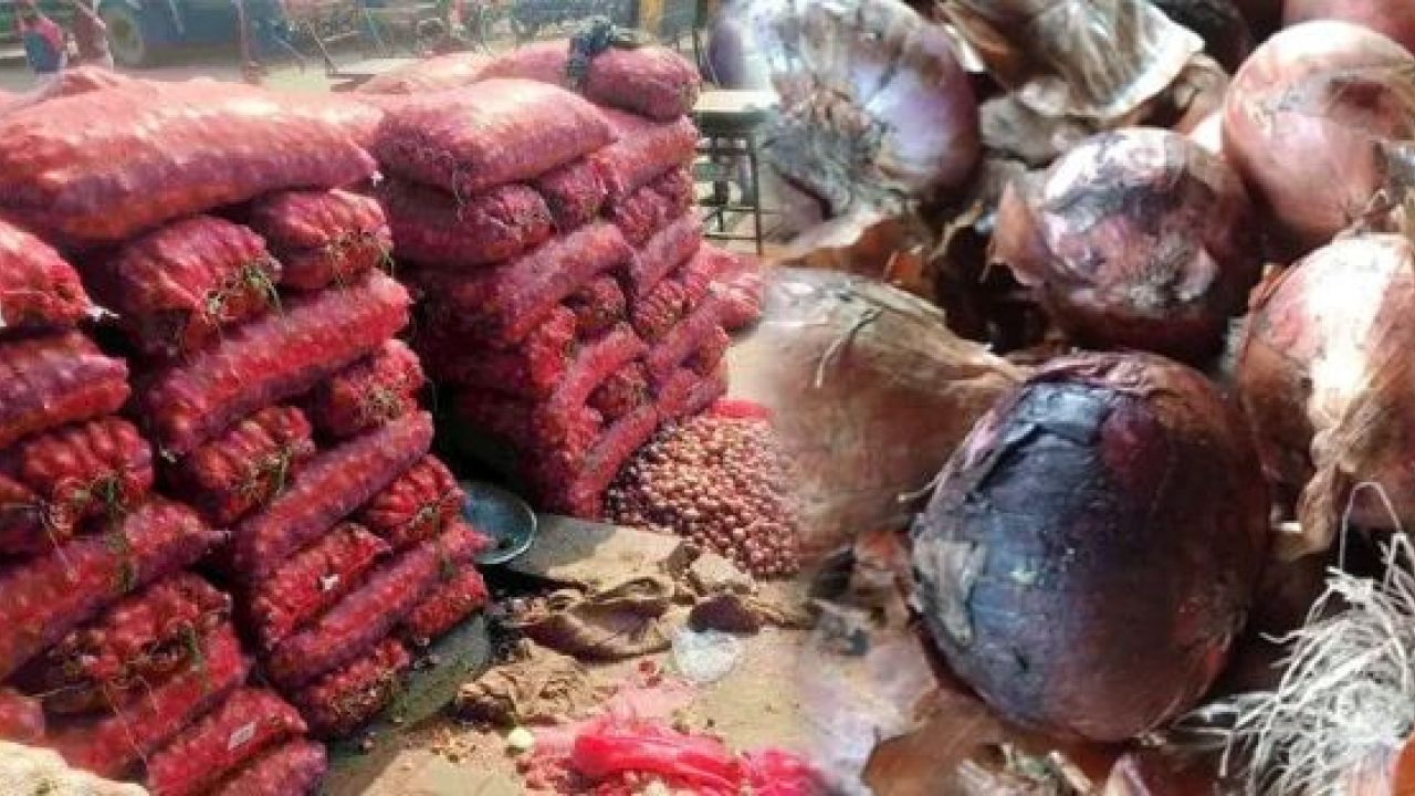বাংলাদেশে পেঁয়াজ আমদানি বন্ধে সীমান্তে ৩০ হাজার টন পেঁয়াজ পচনের মুখে