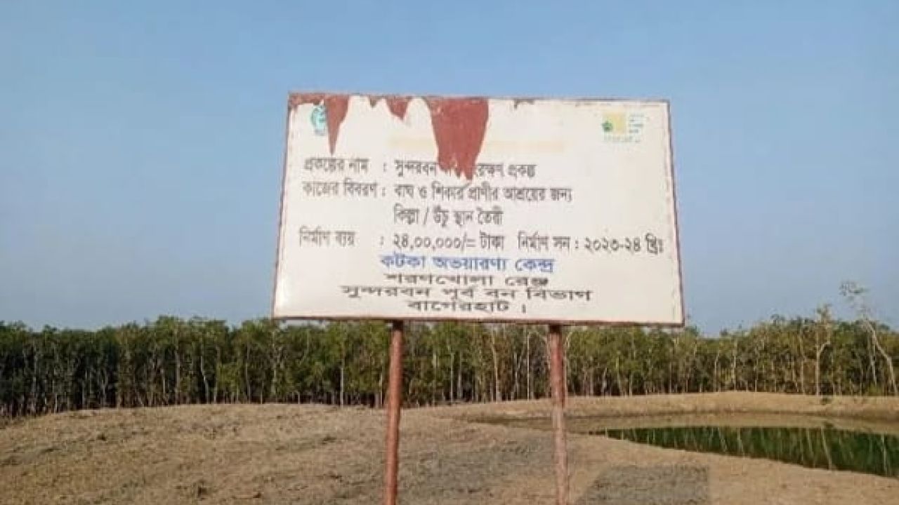 সুন্দরবনে বন্যপ্রাণী রক্ষায় নির্মিত হলো সাতটি ‘বাঘের টিলা’