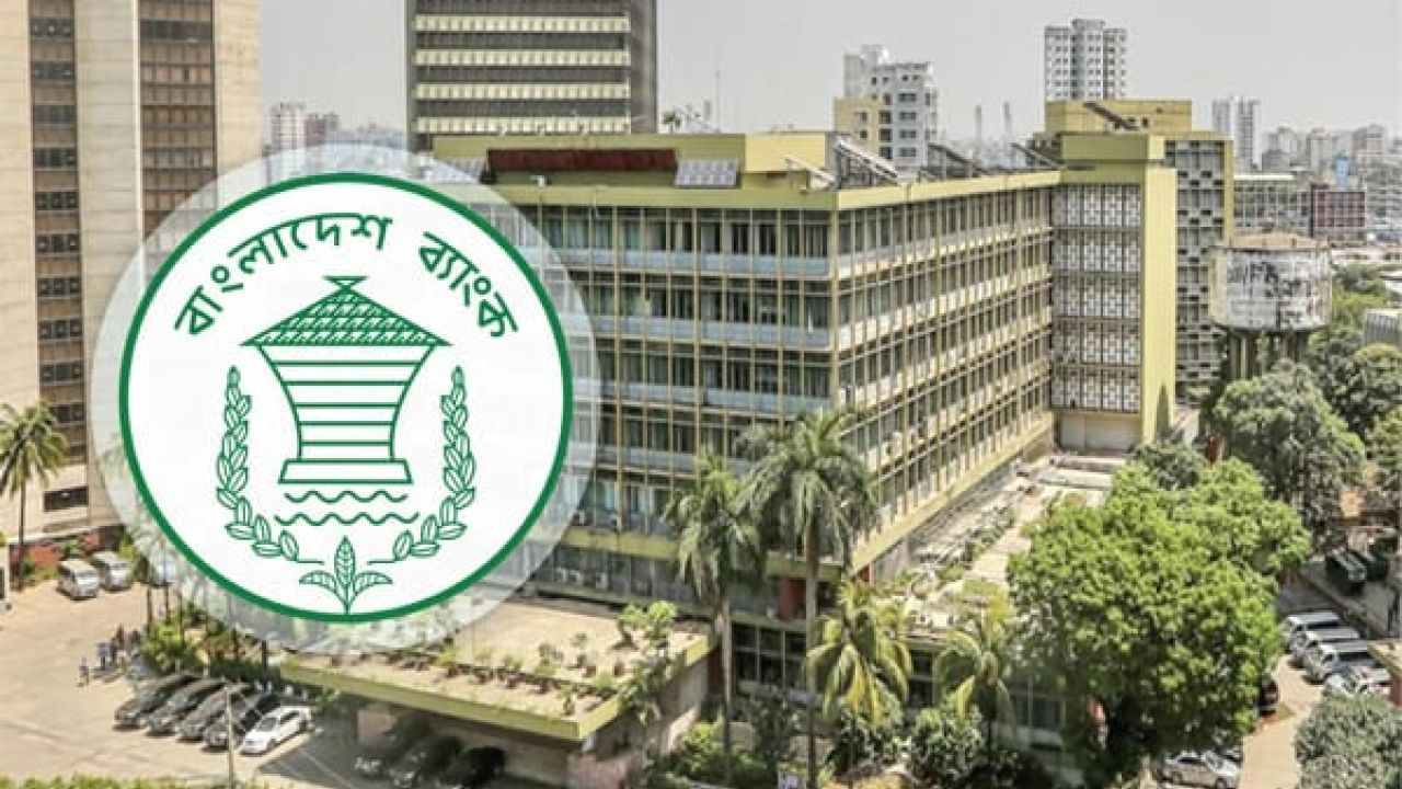 ব্যাংক রেজোলিউশন বিল পাস: পুরোনো শেয়ারধারীদের মালিকানায় ফেরার সুযোগ