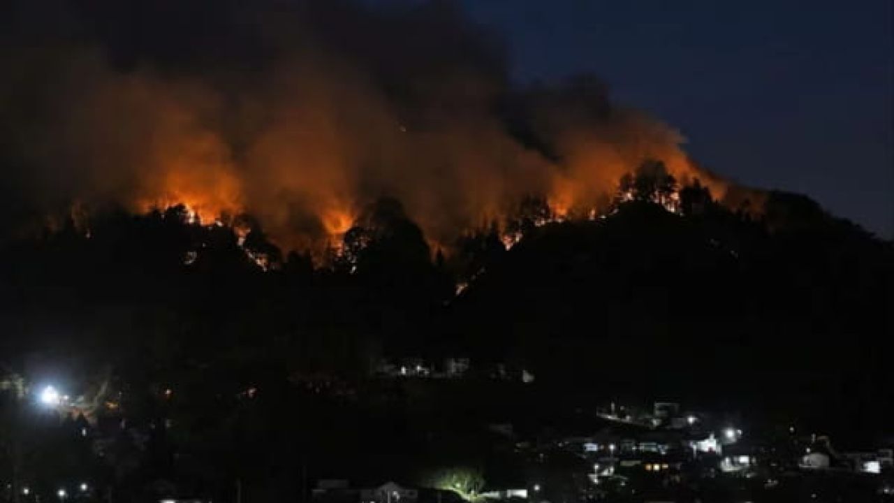 জাপানের ইওয়াতে অঞ্চলে ভয়াবহ দাবানল, তিন হাজার বাসিন্দাকে সরিয়ে নেওয়া হয়েছে