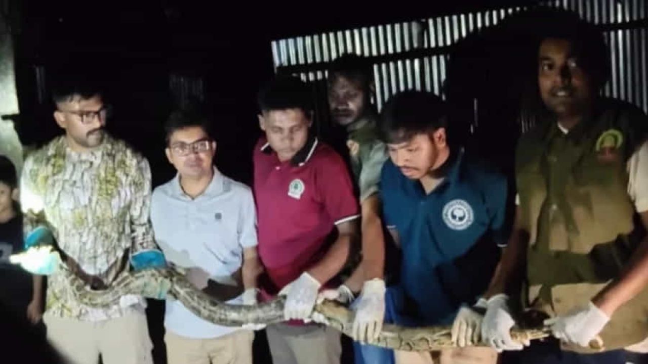 কক্সবাজারে লোকালয় থেকে ১০ ফুট লম্বা অজগর উদ্ধার