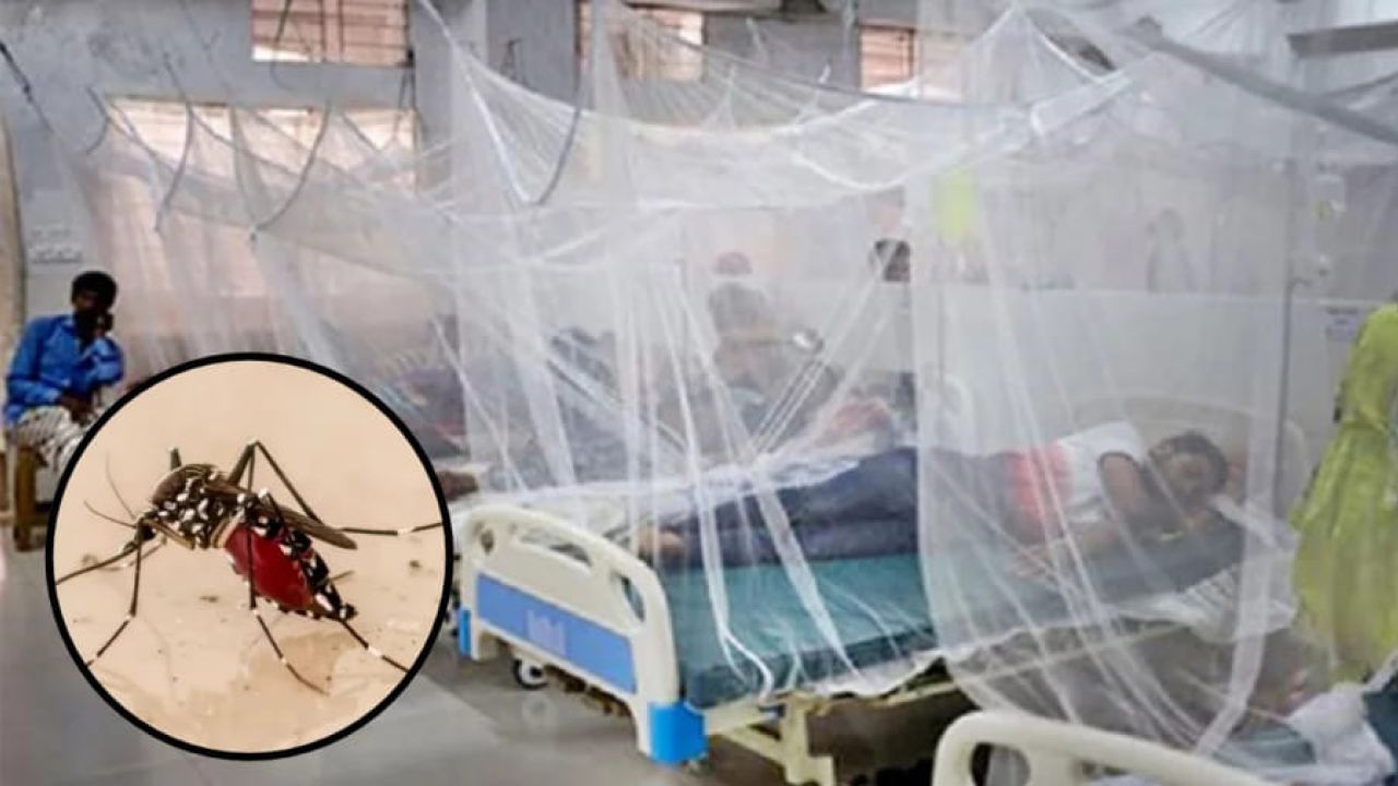 ডেঙ্গুতে আরও ৬ মৃত্যু, ২৪ ঘণ্টায় হাসপাতালে ভর্তি ১ হাজার ৫৬১