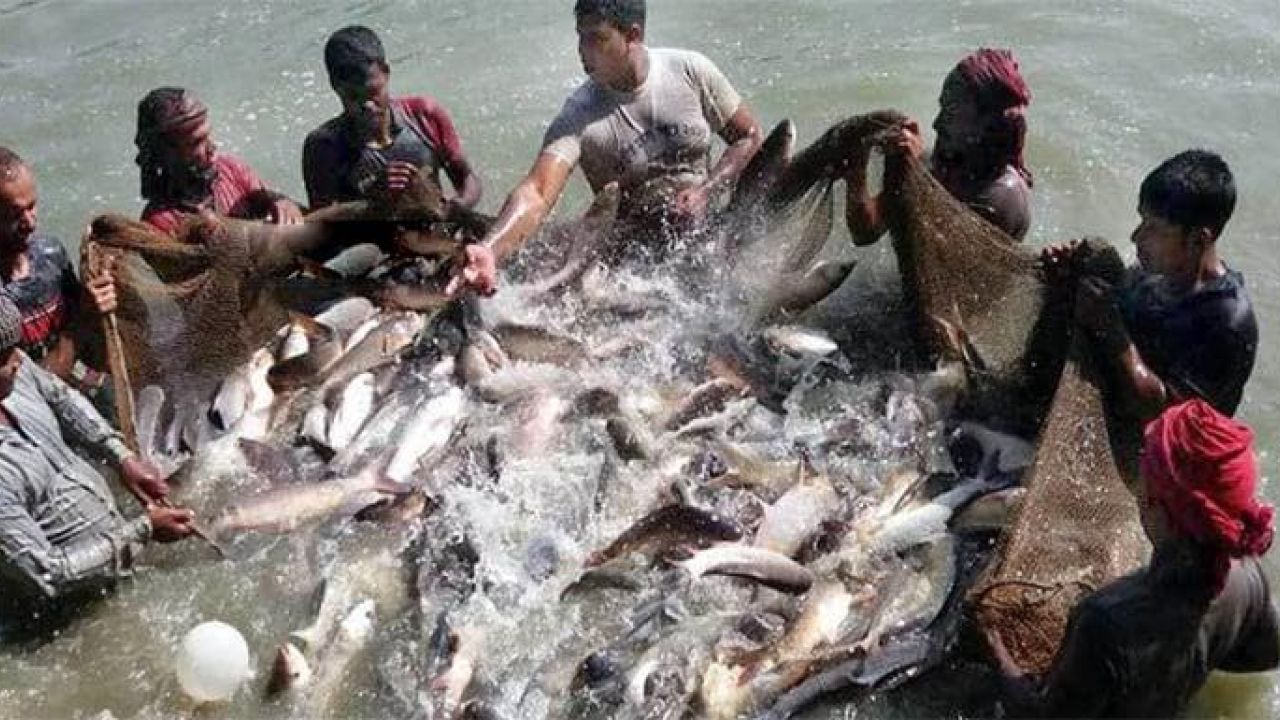 অটোরিকশা চালক থেকে কোটি টাকার মাছচাষি